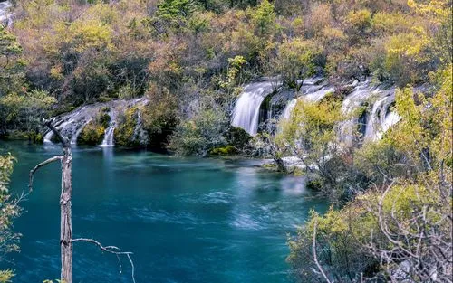 创新可靠性